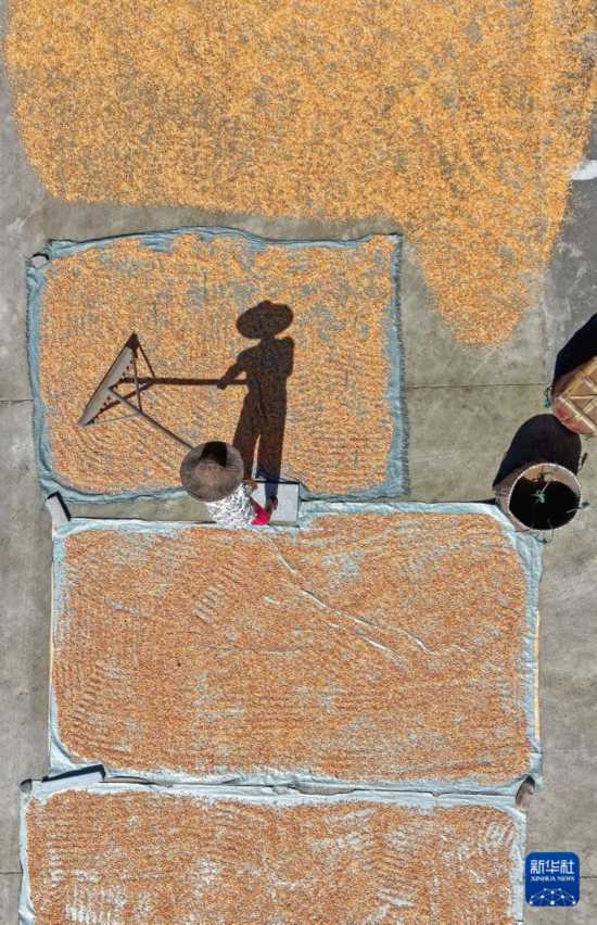 皇冠信用开户
_立秋农事正当忙