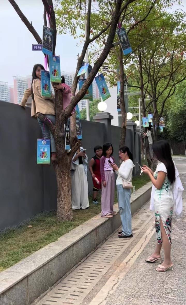 如何调整最小投注金额?_“湘超”永州主场一票难求如何调整最小投注金额?,官方推出“树上挂票”并提醒:每棵树限挂160斤以下的3人,严禁带蛇观赛