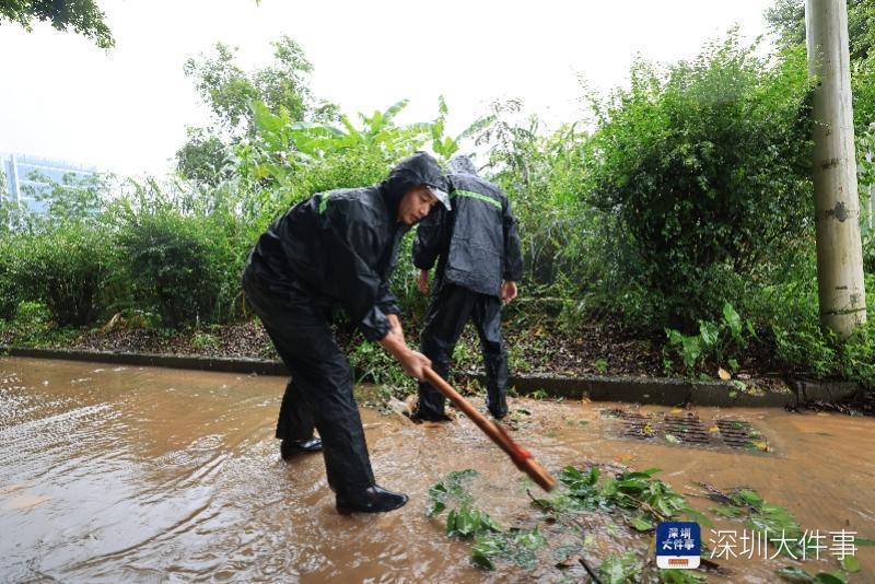皇冠信用網哪里申请_从“山竹”开始皇冠信用網哪里申请,深圳这家企业每遇台风都组织员工排险清障