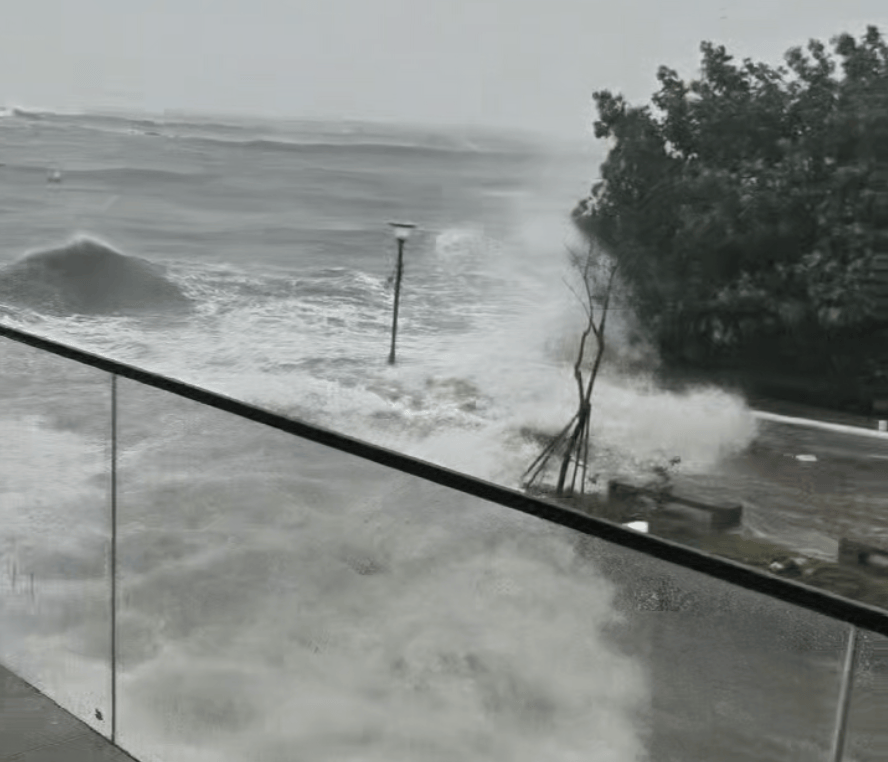 皇冠信用网可以占几成_湛江徐闻实况:路边大树被强风刮倒皇冠信用网可以占几成,车辆被砸!台风“麦德姆”即将登陆